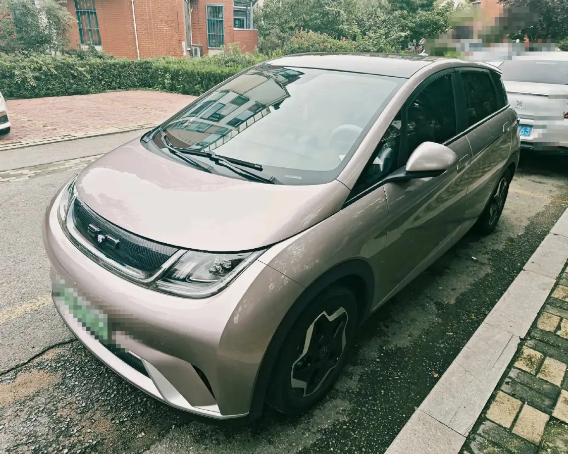 2021 BYD Dolphin BEV 44.9KWH