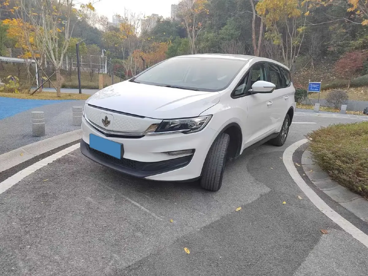 2021 Livan Maple 80v BEV 53KWH