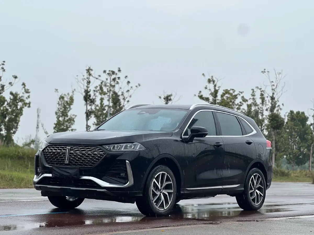 2022 WEY Latte 1.5T 156HP L4 2DHT PHEV 34KWH