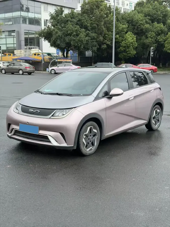 2021 BYD Dolphin BEV 44.9KWH