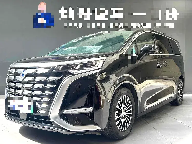 2022 DENZA D9 view 1