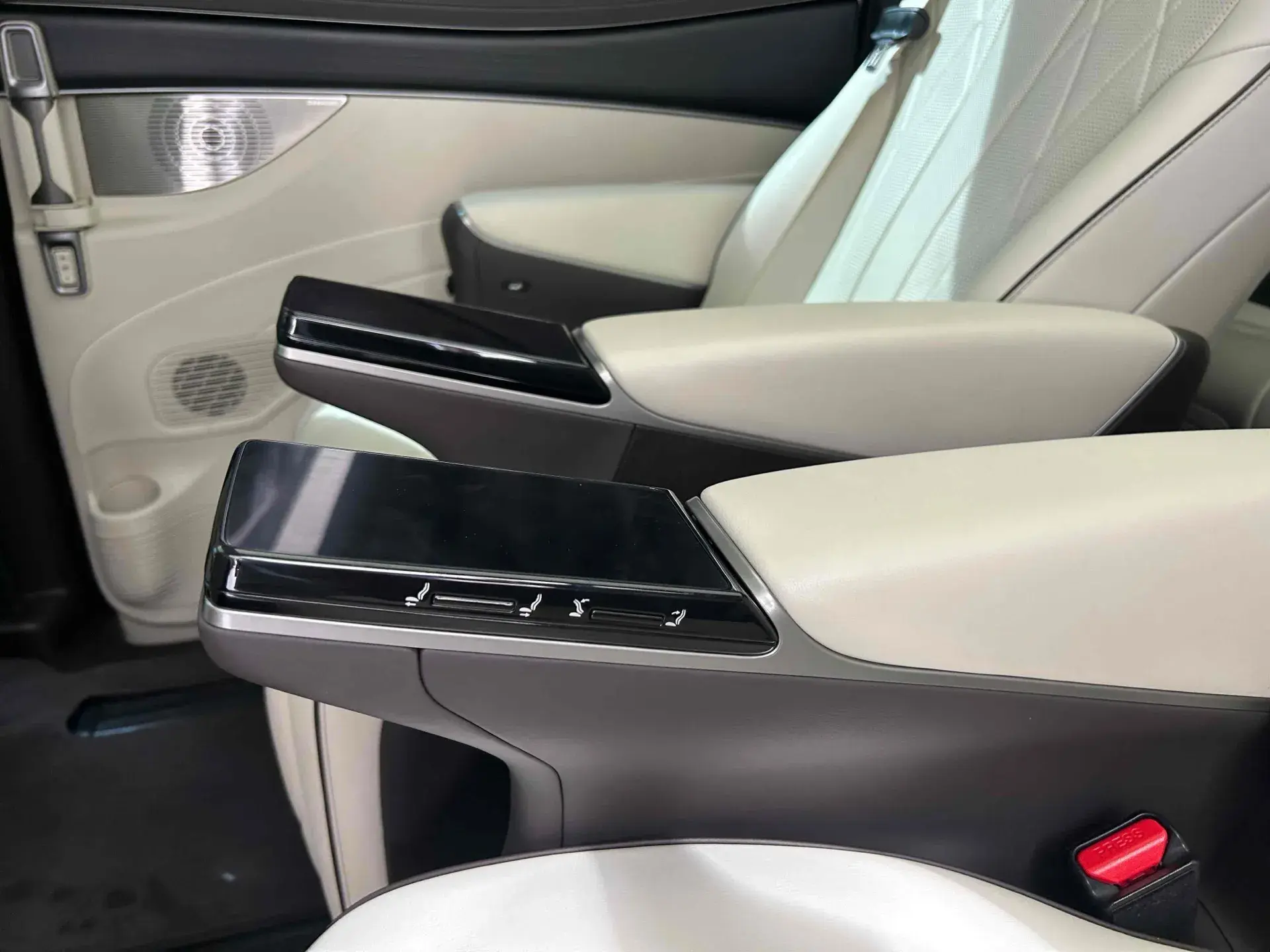 2022 DENZA D9 thumbnail 4