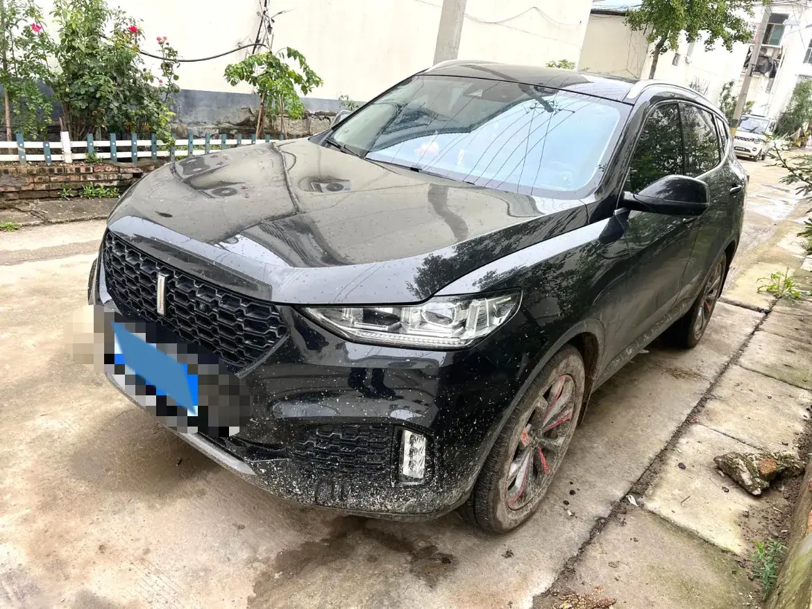 2018 WEY VV6 2.0T 197HP L4 7DCT