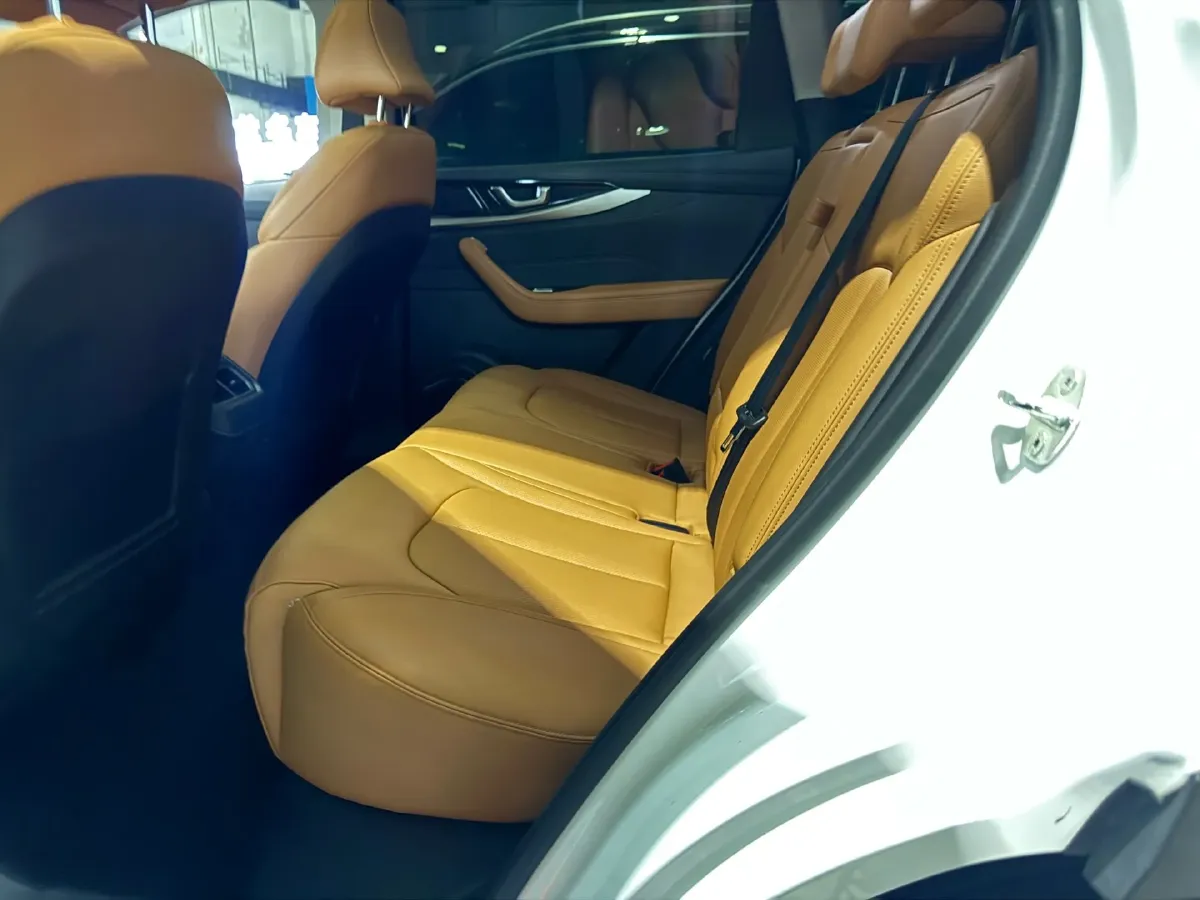 2021 Weltmeister W6 BEV 66.231KWH,autocango,china used car exporter,china ev exporter,chinese used car exporter,chinese used ev exporter