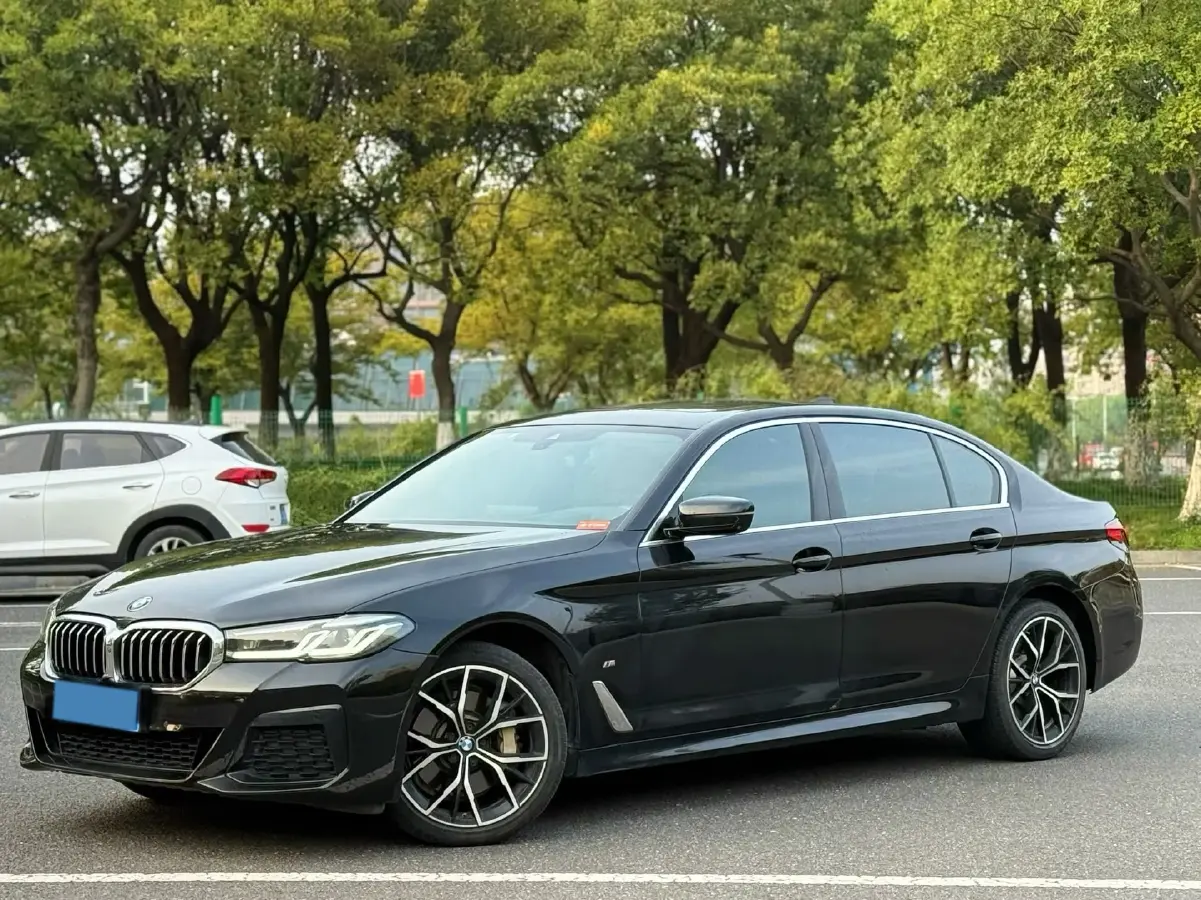 2021 BMW 5 Series 2.0T 252HP L4 8AT