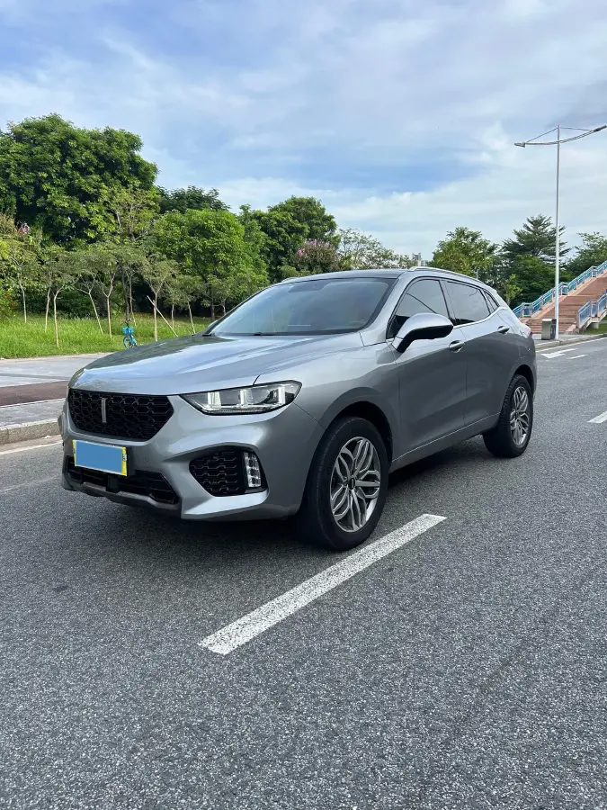 2019 WEY VV5 2.0T 224HP L4 7DCT