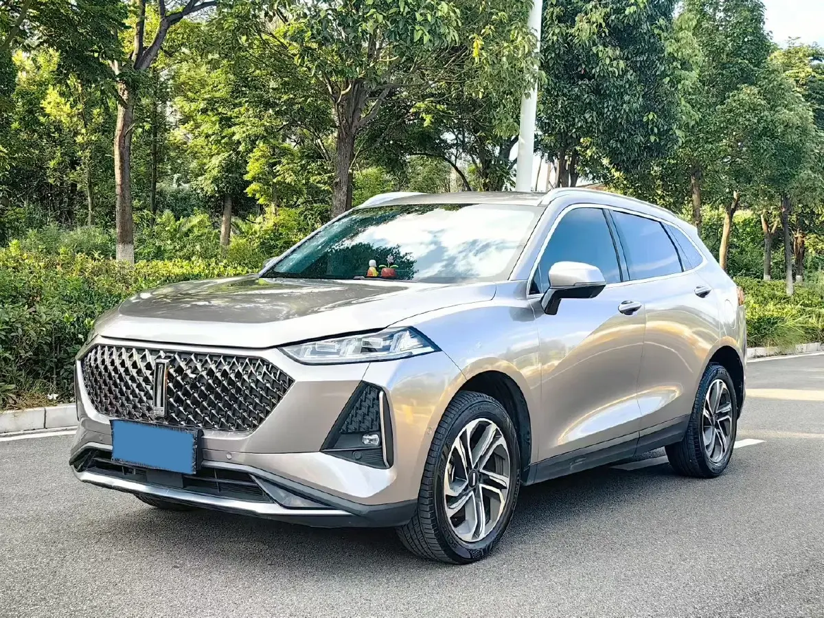 2021 WEY Macchiato 1.5L 97HP L4 2DHT PHEV 19.94KWH