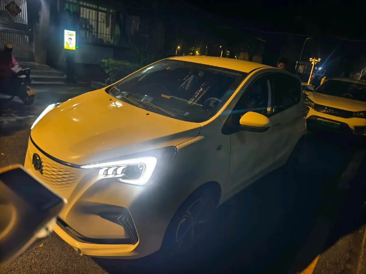 2020 ChangAn BenBen E-Star BEV 32.2KWH