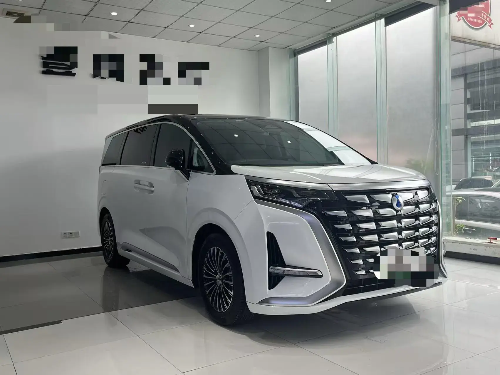 2024 DENZA D9 thumbnail 3