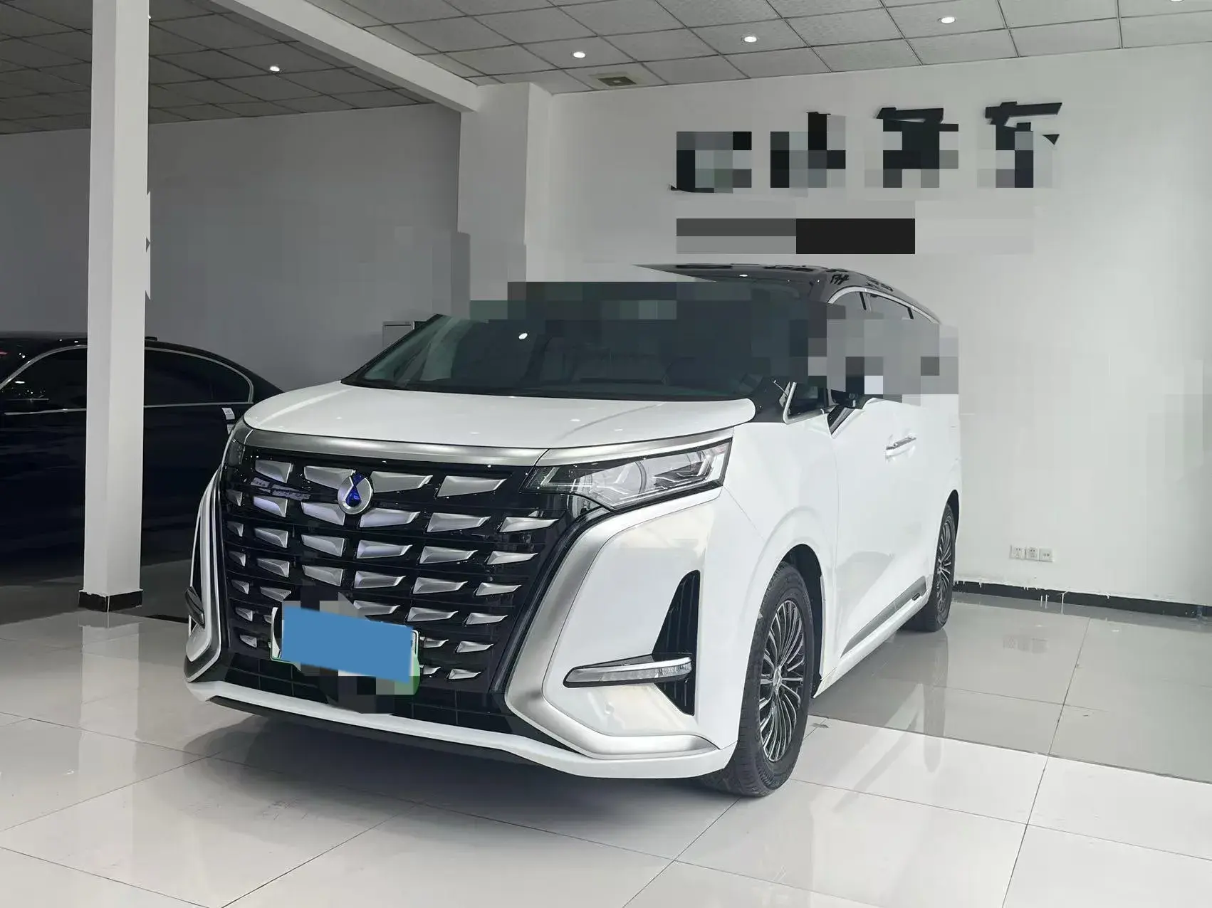 2024 DENZA D9 view 1