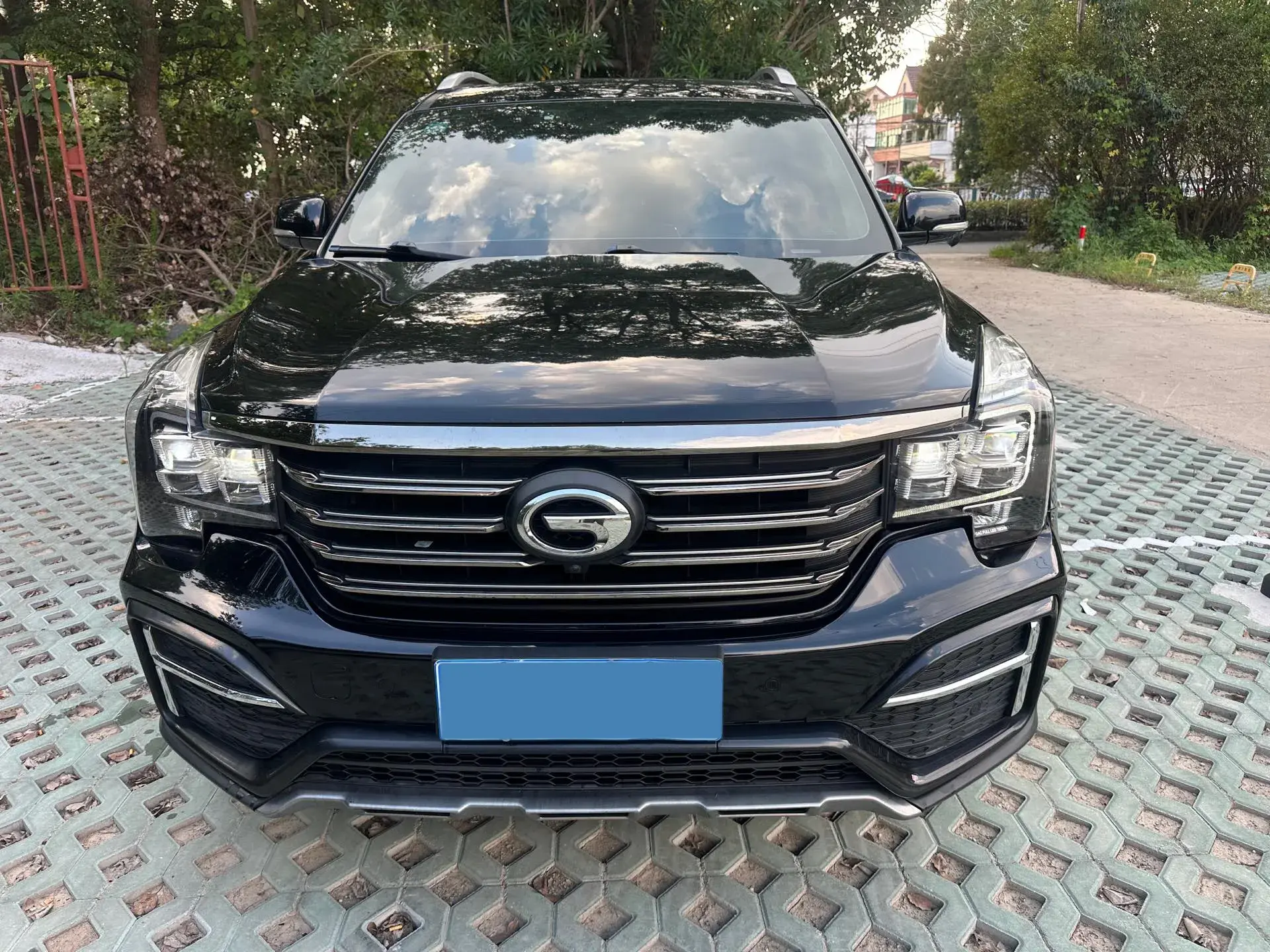 2020 GAC TRUMPCHI thumbnail 3