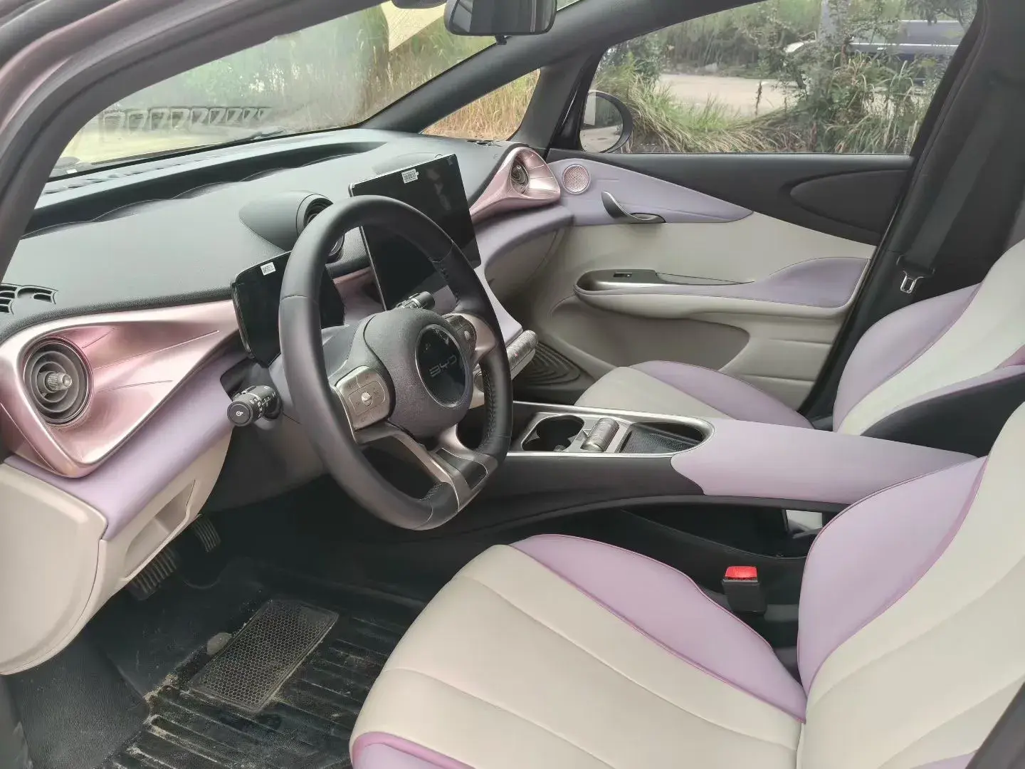 2021 BYD DOLPHIN thumbnail 4