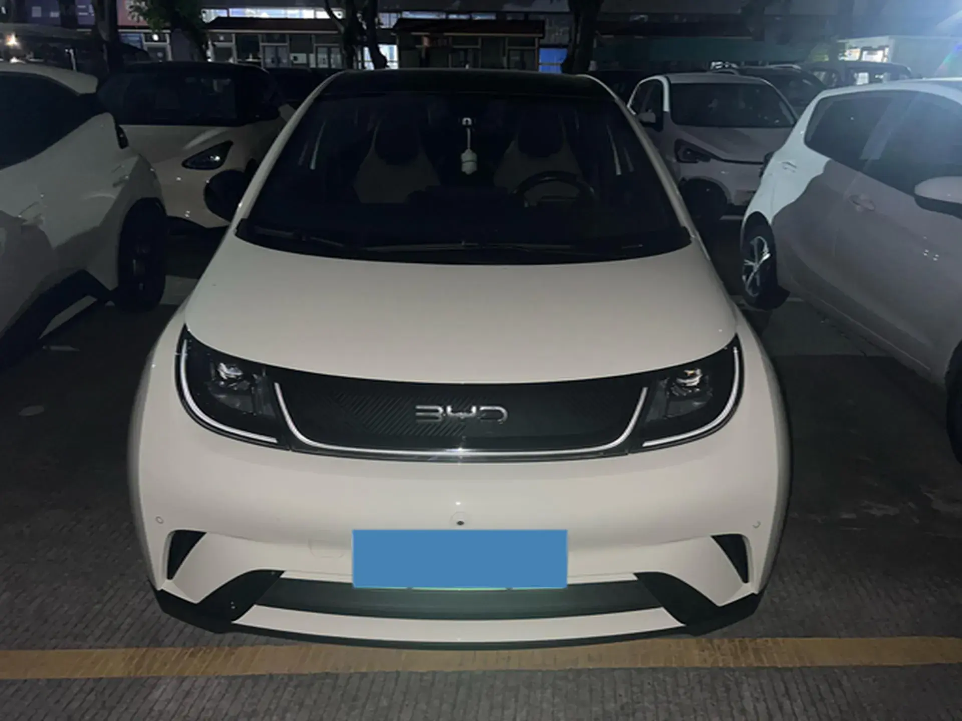 2023 BYD DOLPHIN thumbnail 2