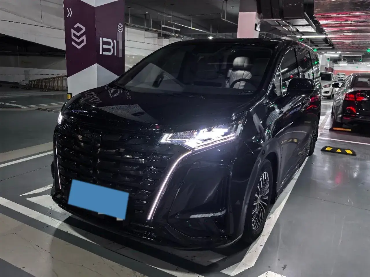 2022 DENZA D9 view 1