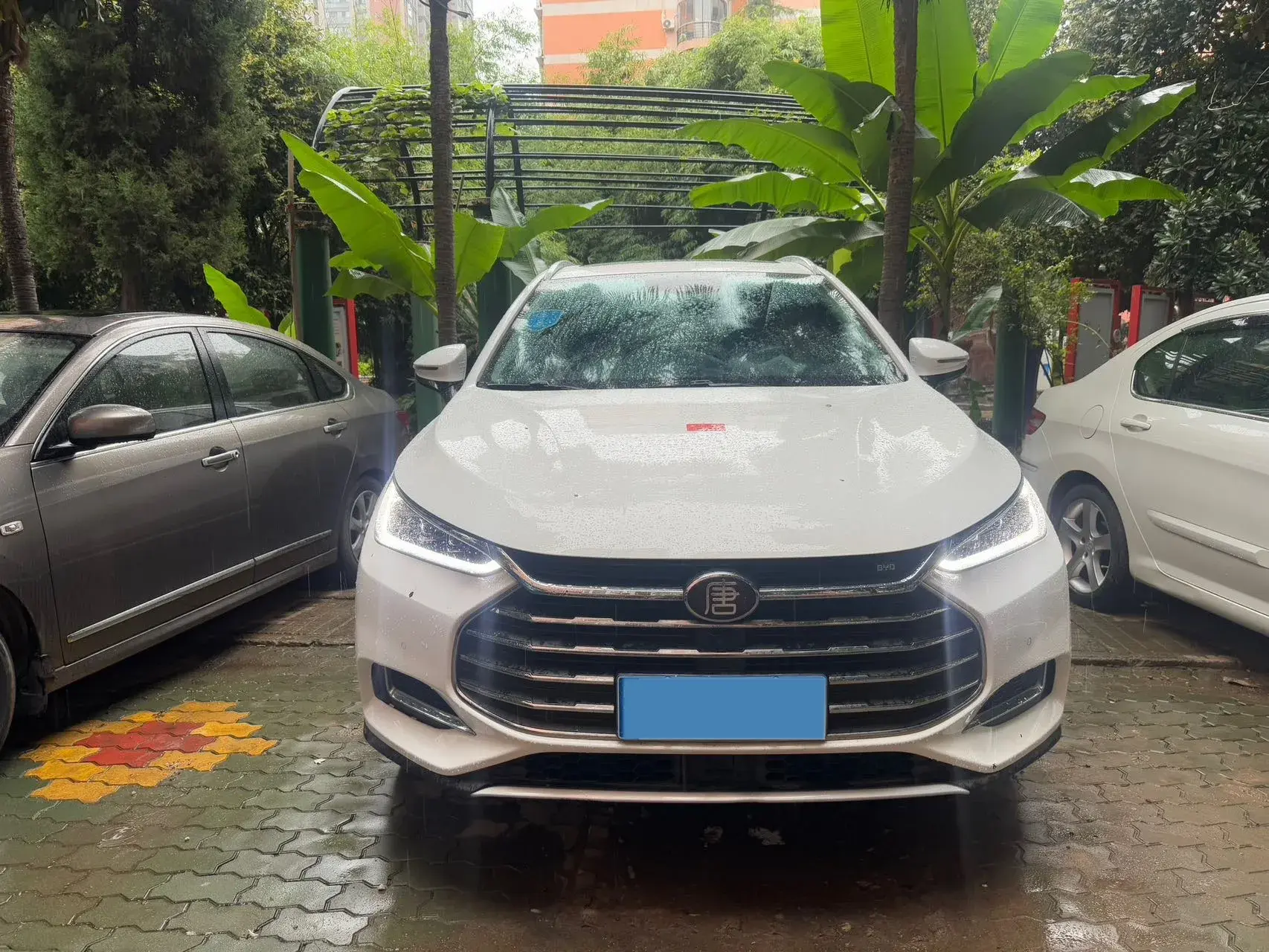 2018 BYD TANG thumbnail 2