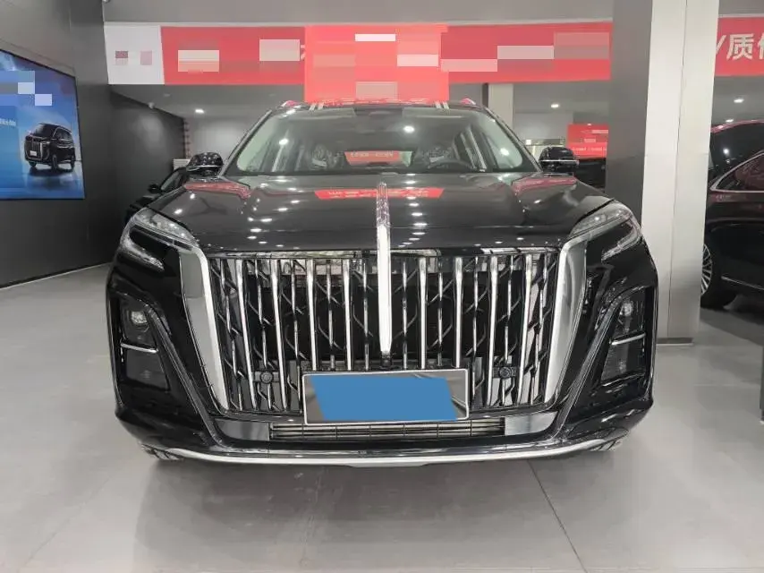 2024 HONGQI HS3 thumbnail 2