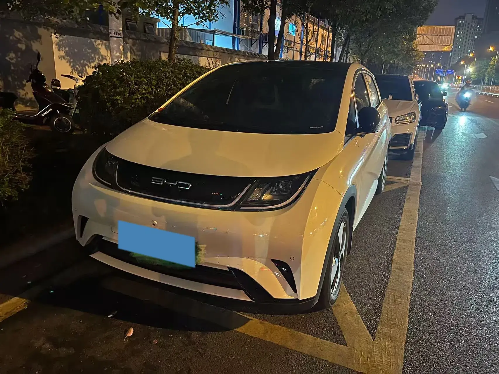 2023 BYD DOLPHIN view 1