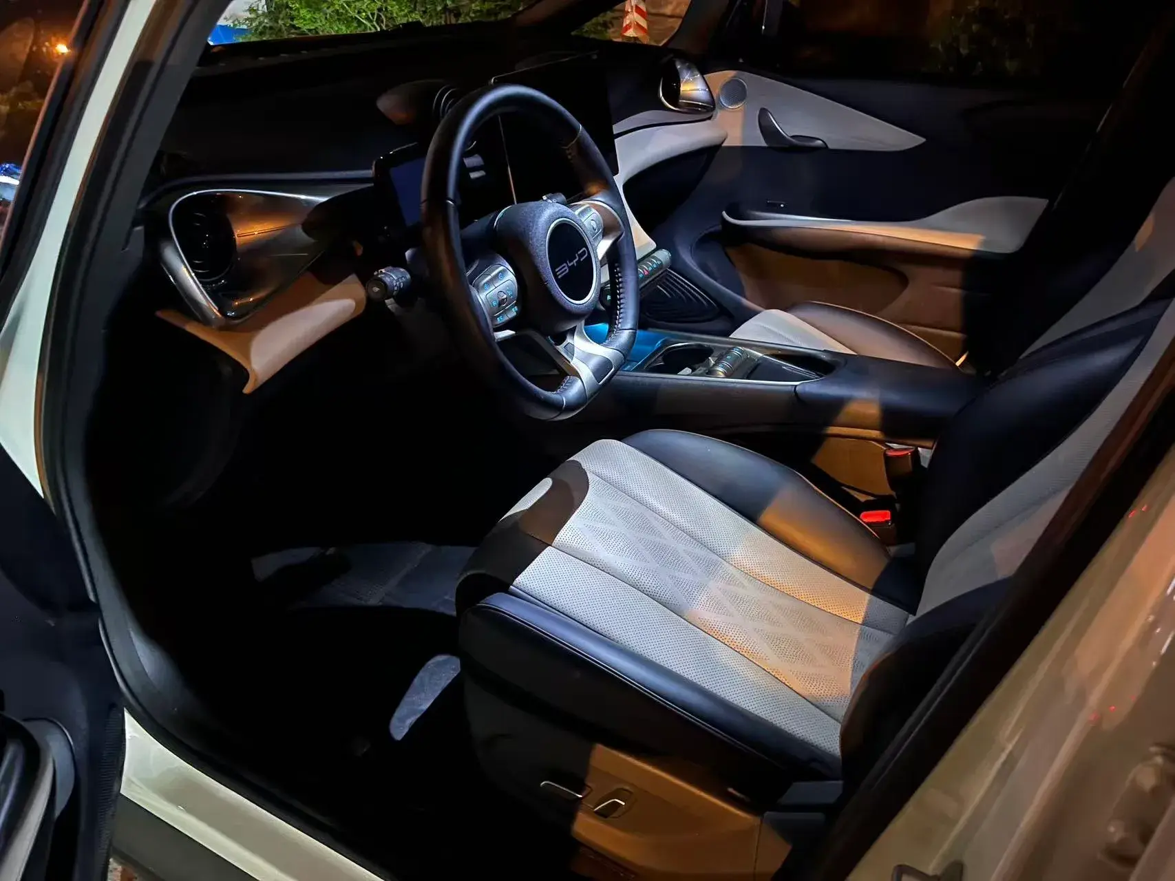 2023 BYD DOLPHIN thumbnail 4