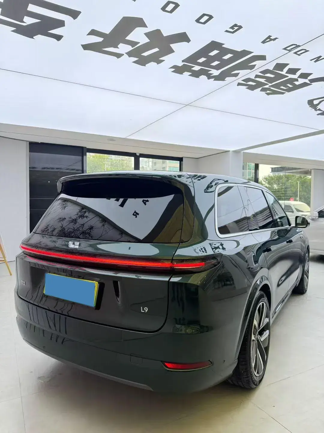 2022 LI L9 thumbnail 4