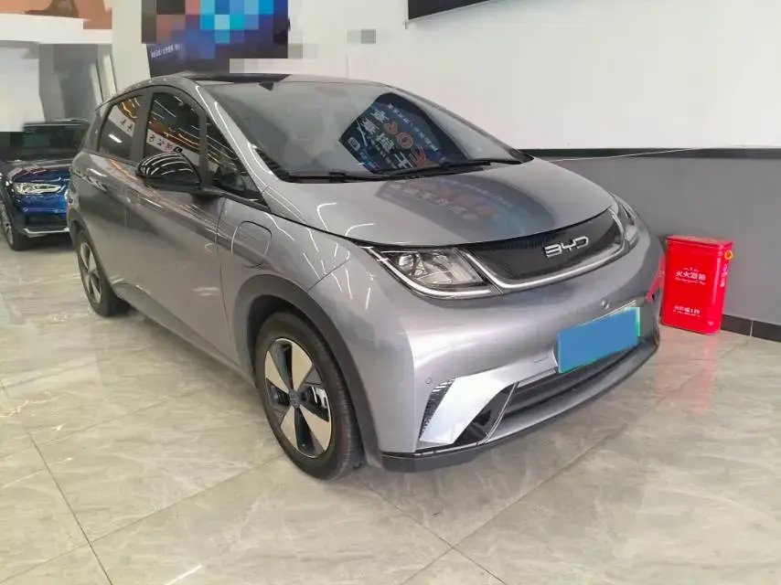 2023 BYD DOLPHIN thumbnail 3