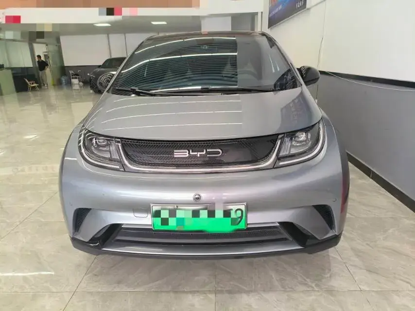 2023 BYD DOLPHIN thumbnail 2