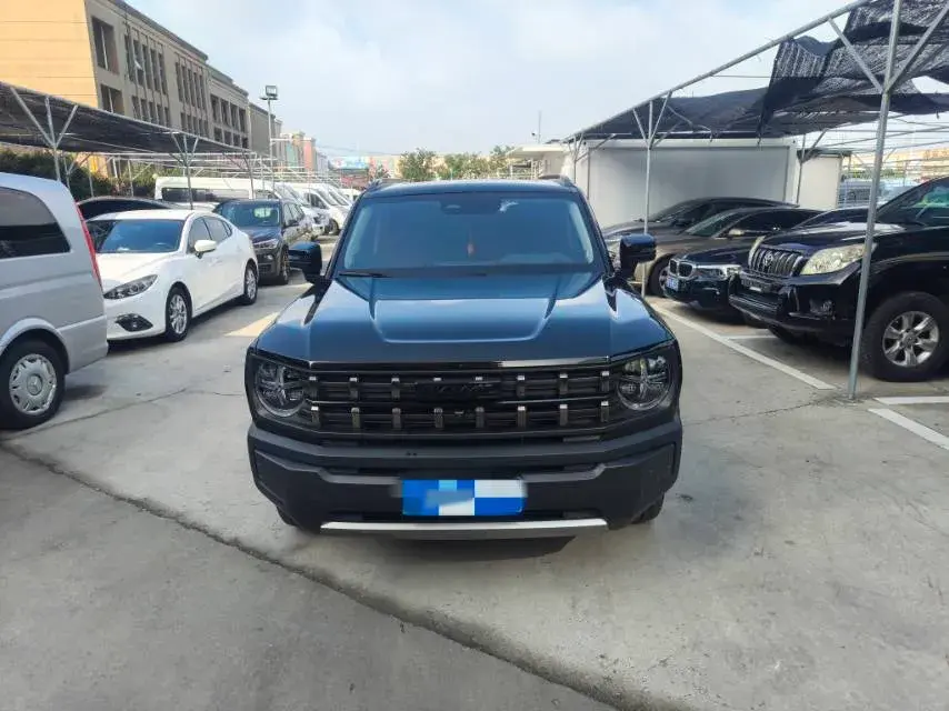 2022 HAVAL X thumbnail 2