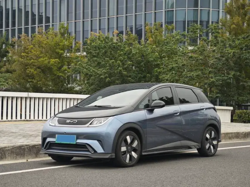 2023 BYD DOLPHIN view 1