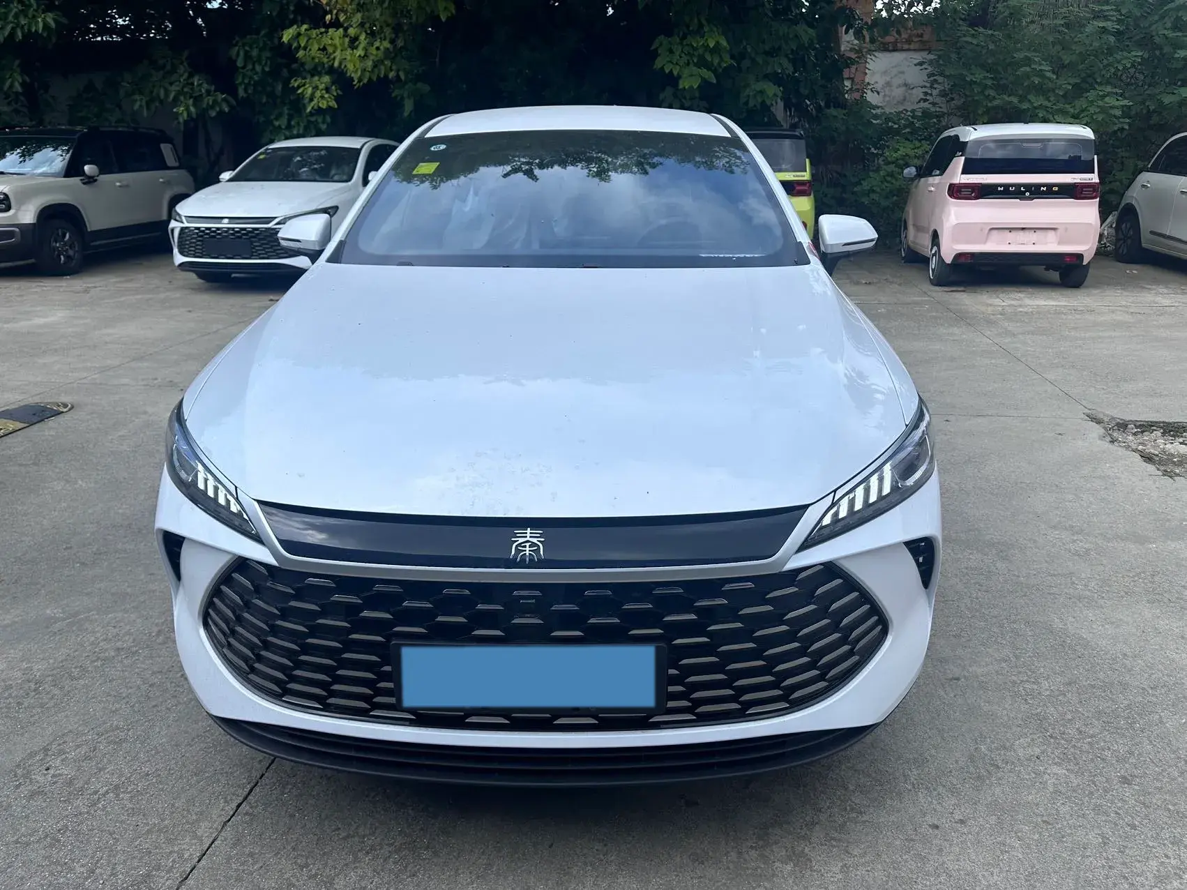 2025 BYD QIN thumbnail 2