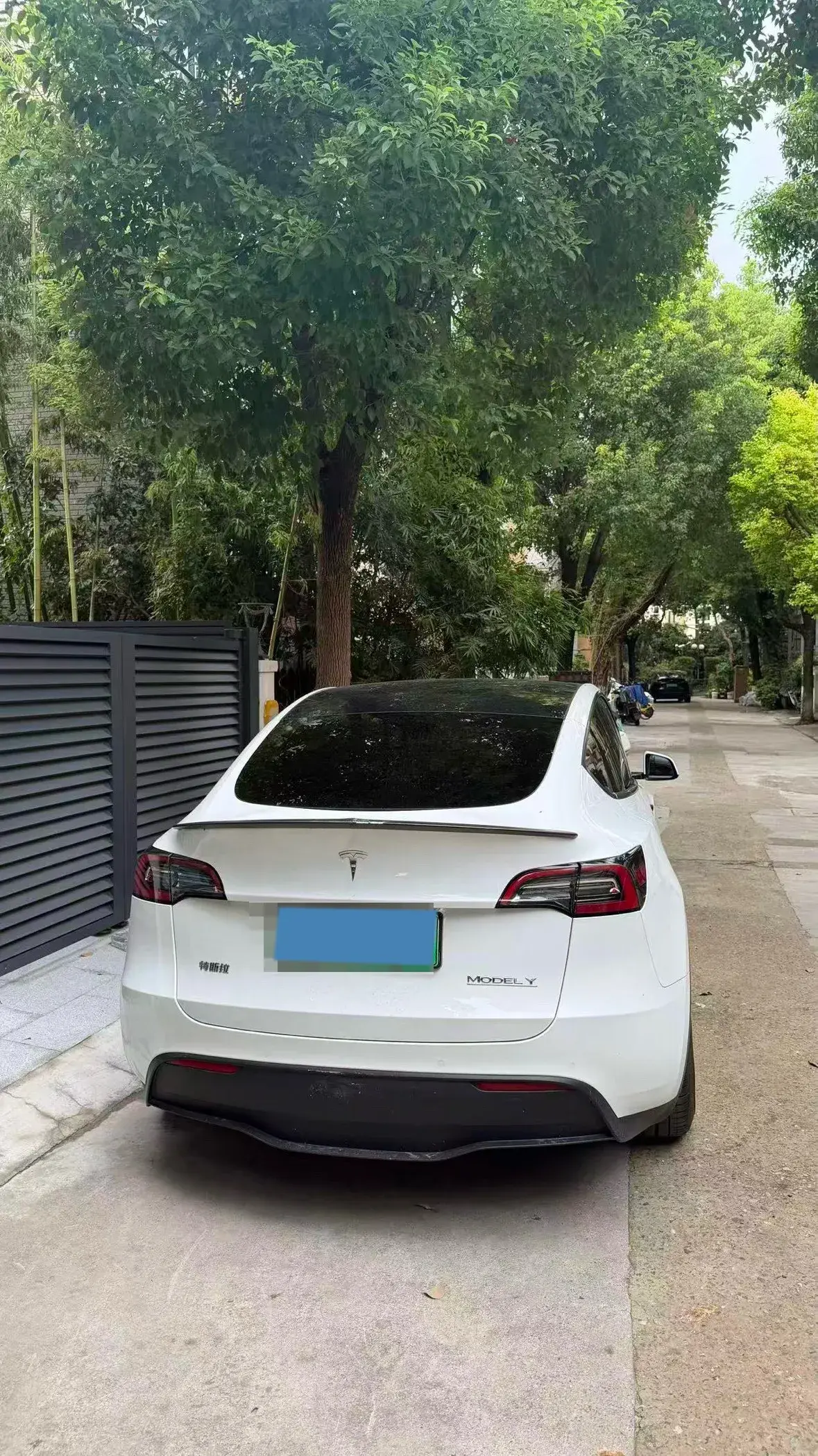 2022 TESLA MODEL thumbnail 2