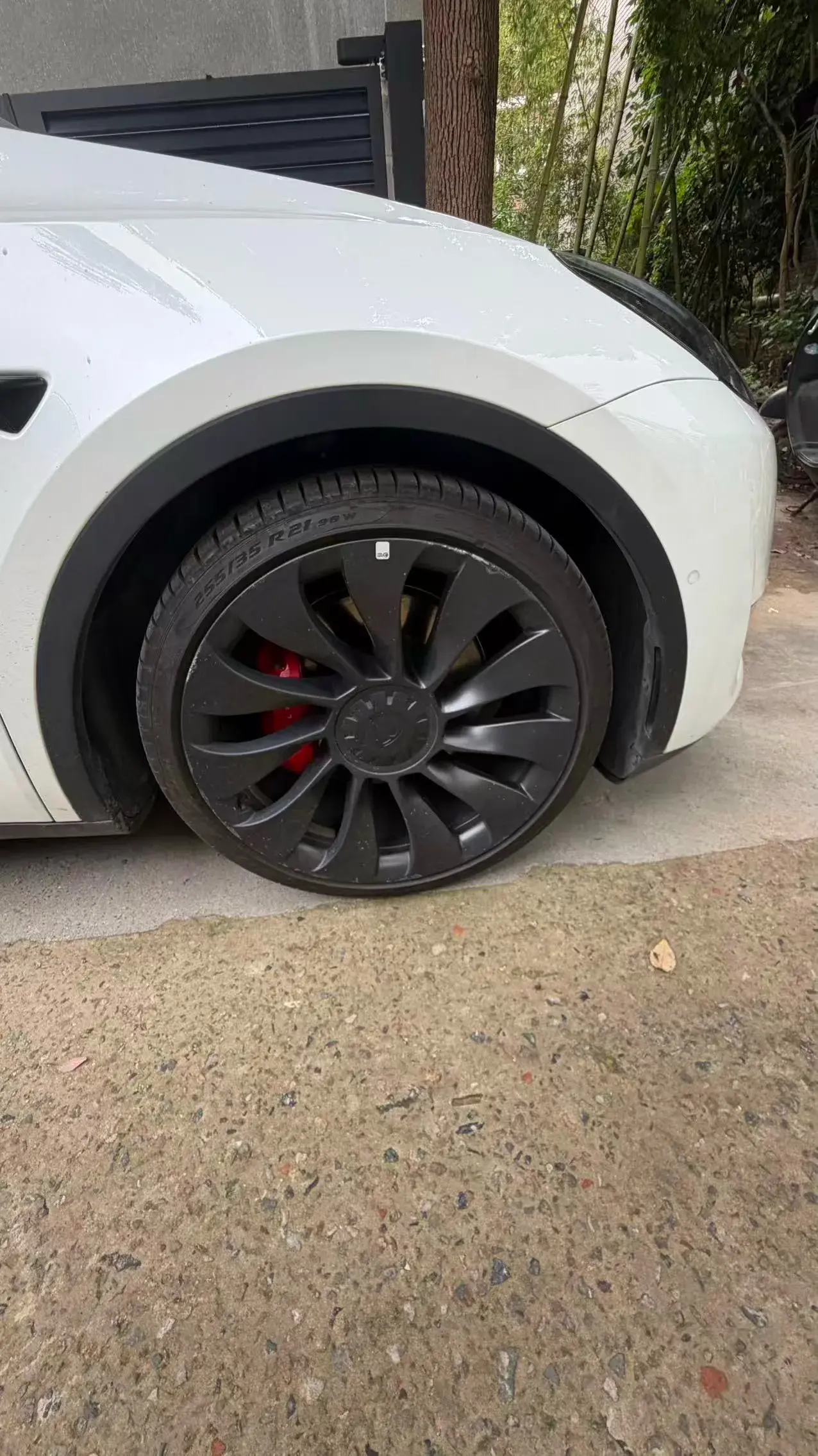 2022 TESLA MODEL thumbnail 3