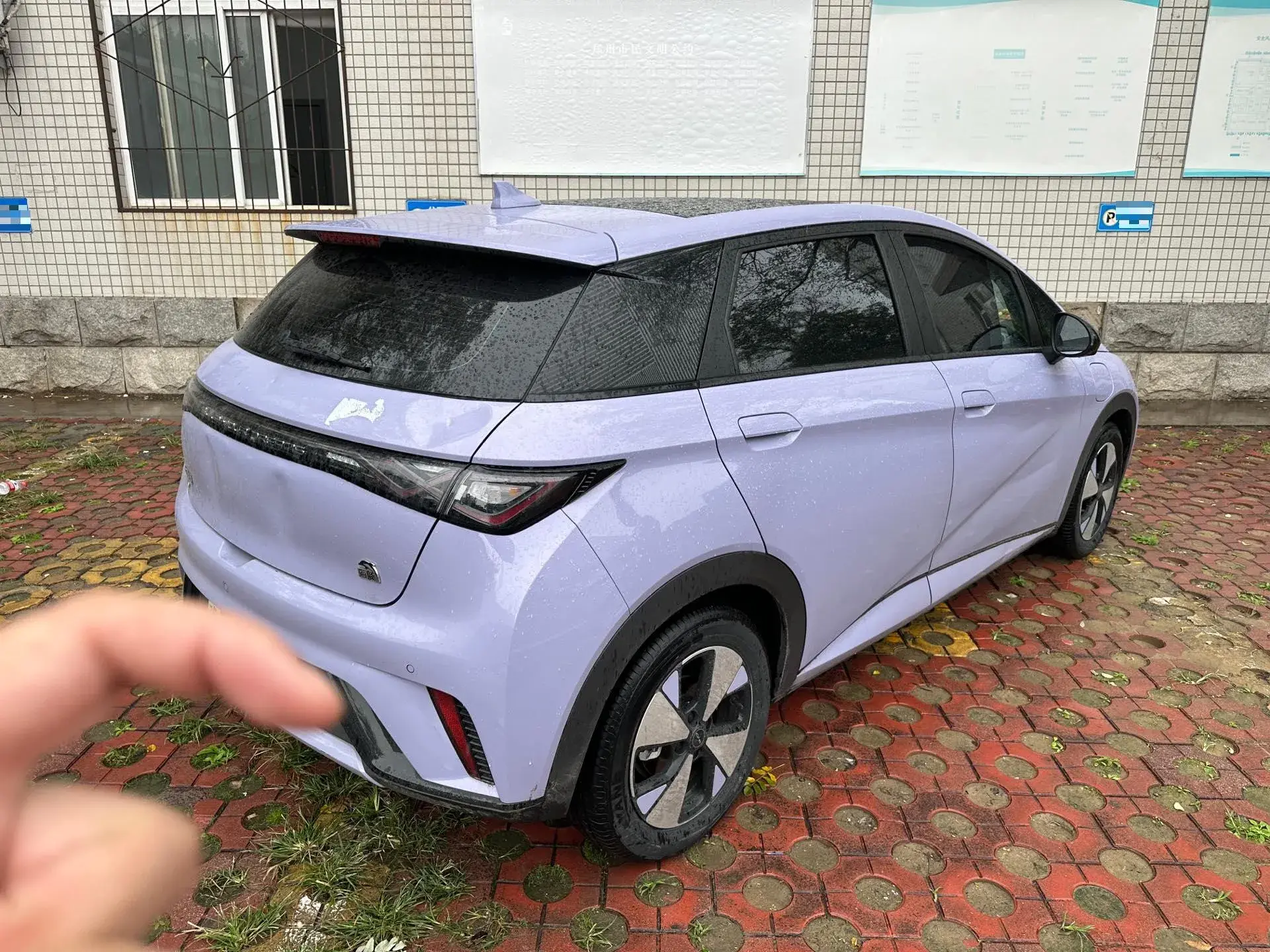 2023 BYD DOLPHIN thumbnail 2