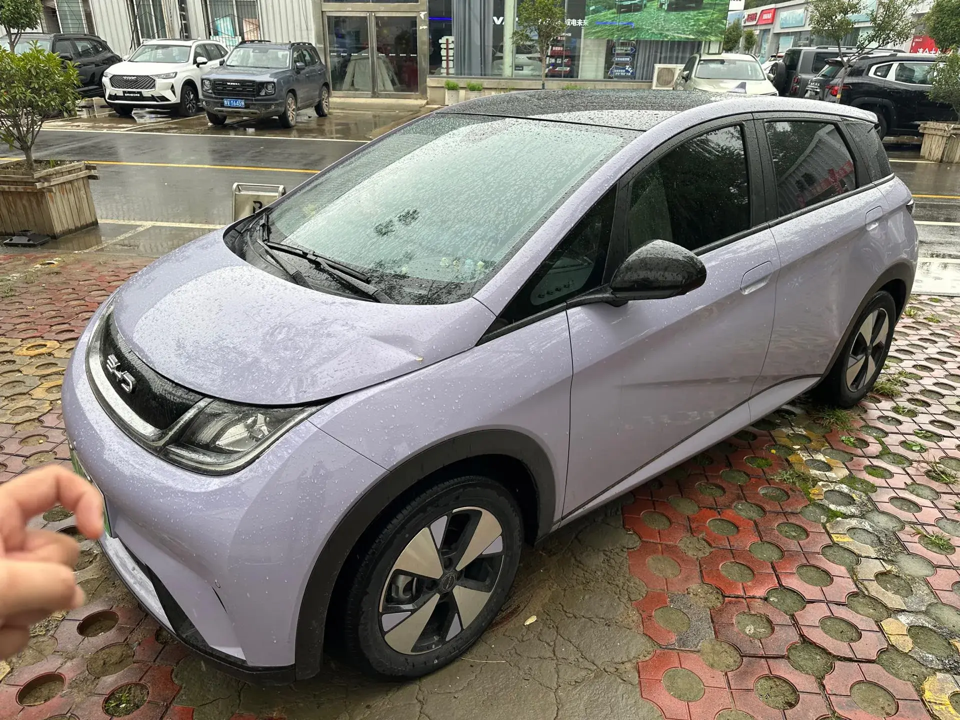 2023 BYD DOLPHIN view 1