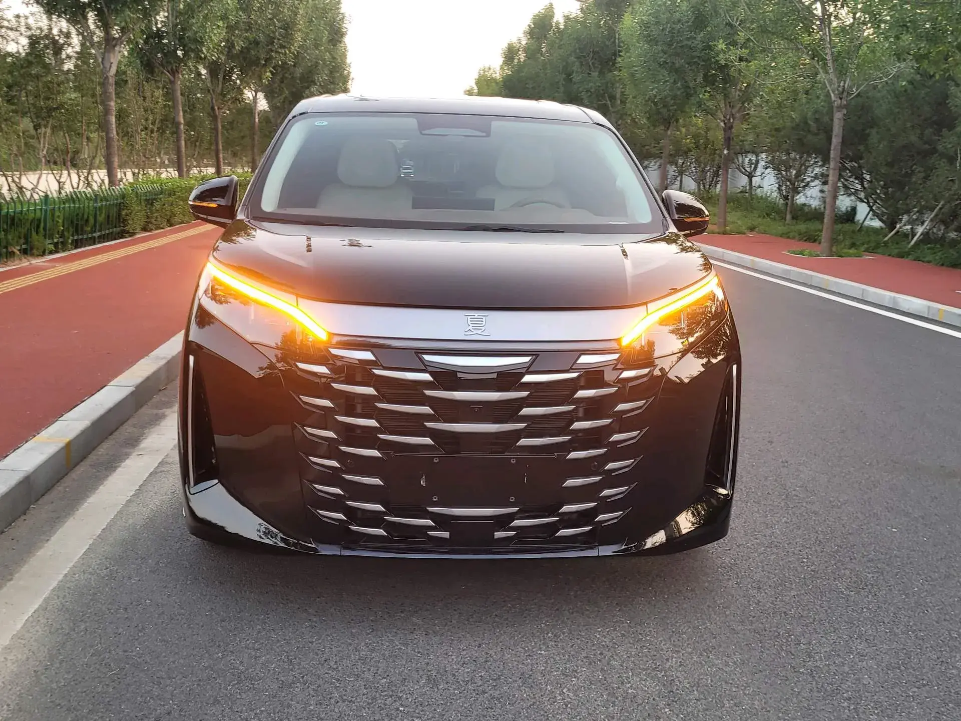 2025 BYD XIA thumbnail 2