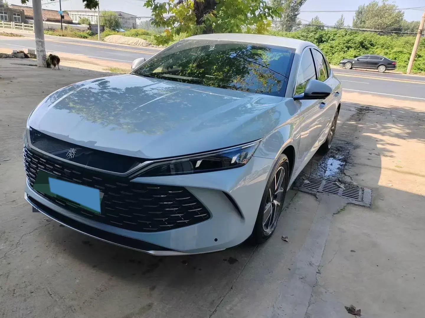 2024 BYD QINL view 1