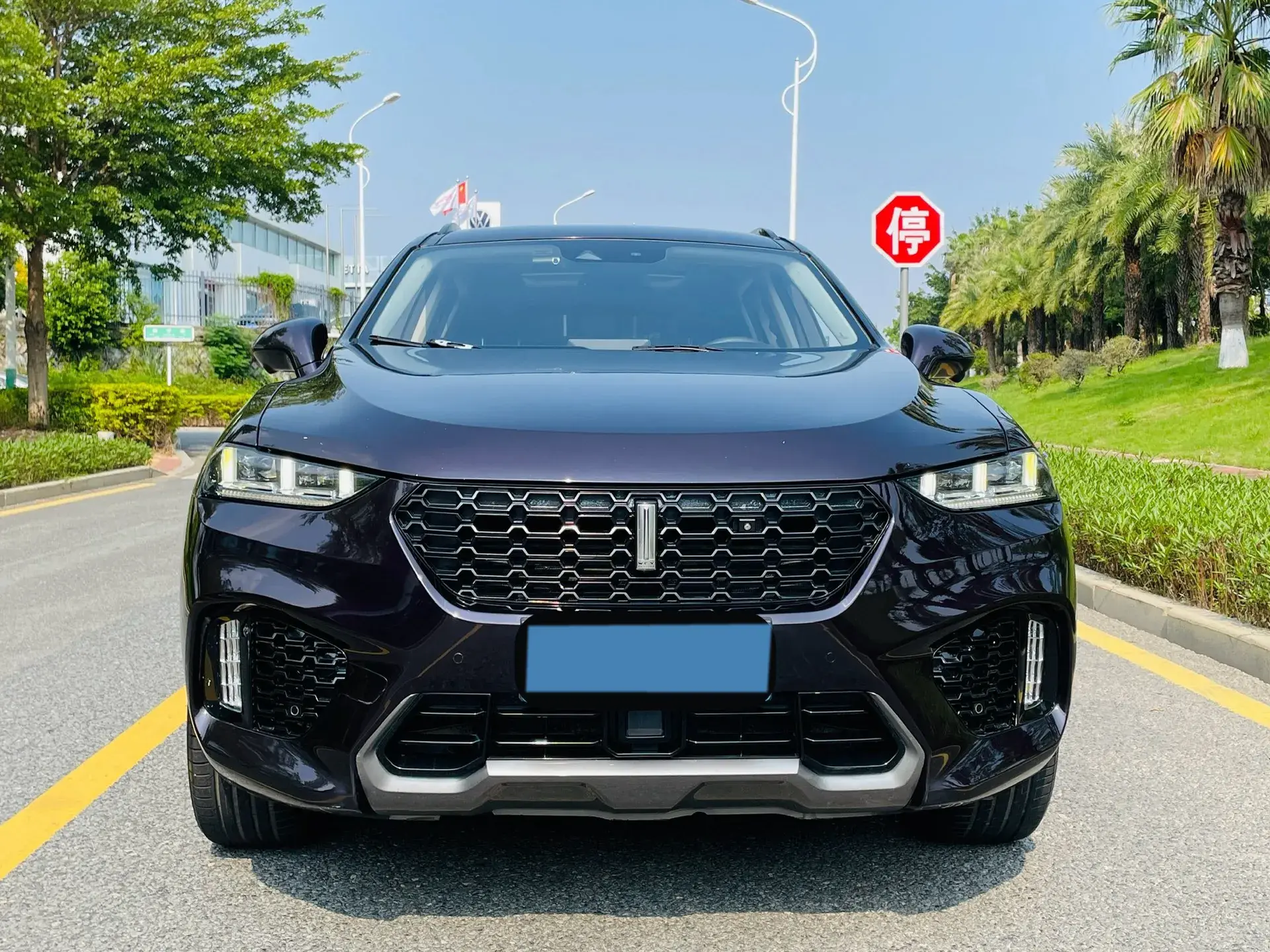 2019 WEY VV7 thumbnail 2