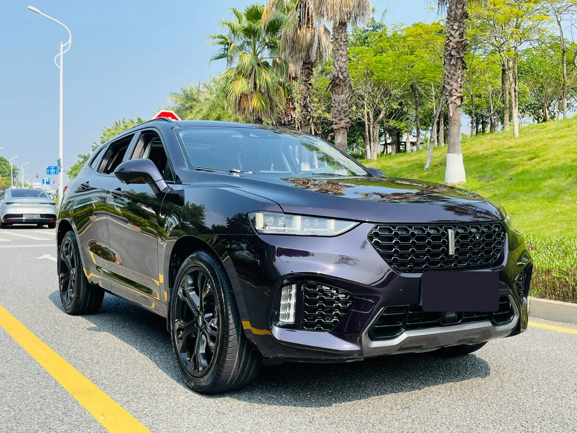 2019 WEY VV7 thumbnail 3