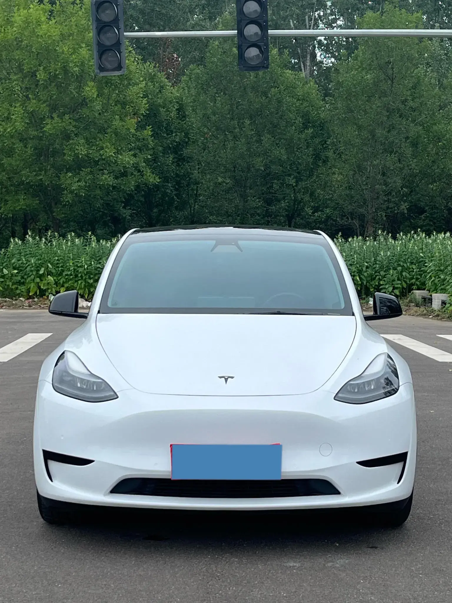 2022 TESLA MODEL thumbnail 2