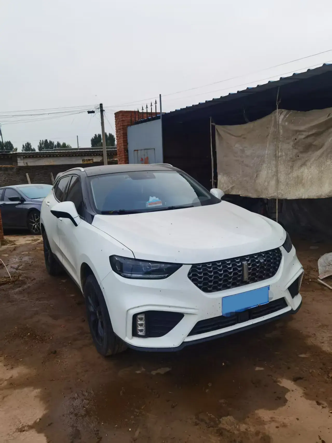 2020 WEY VV5 thumbnail 2