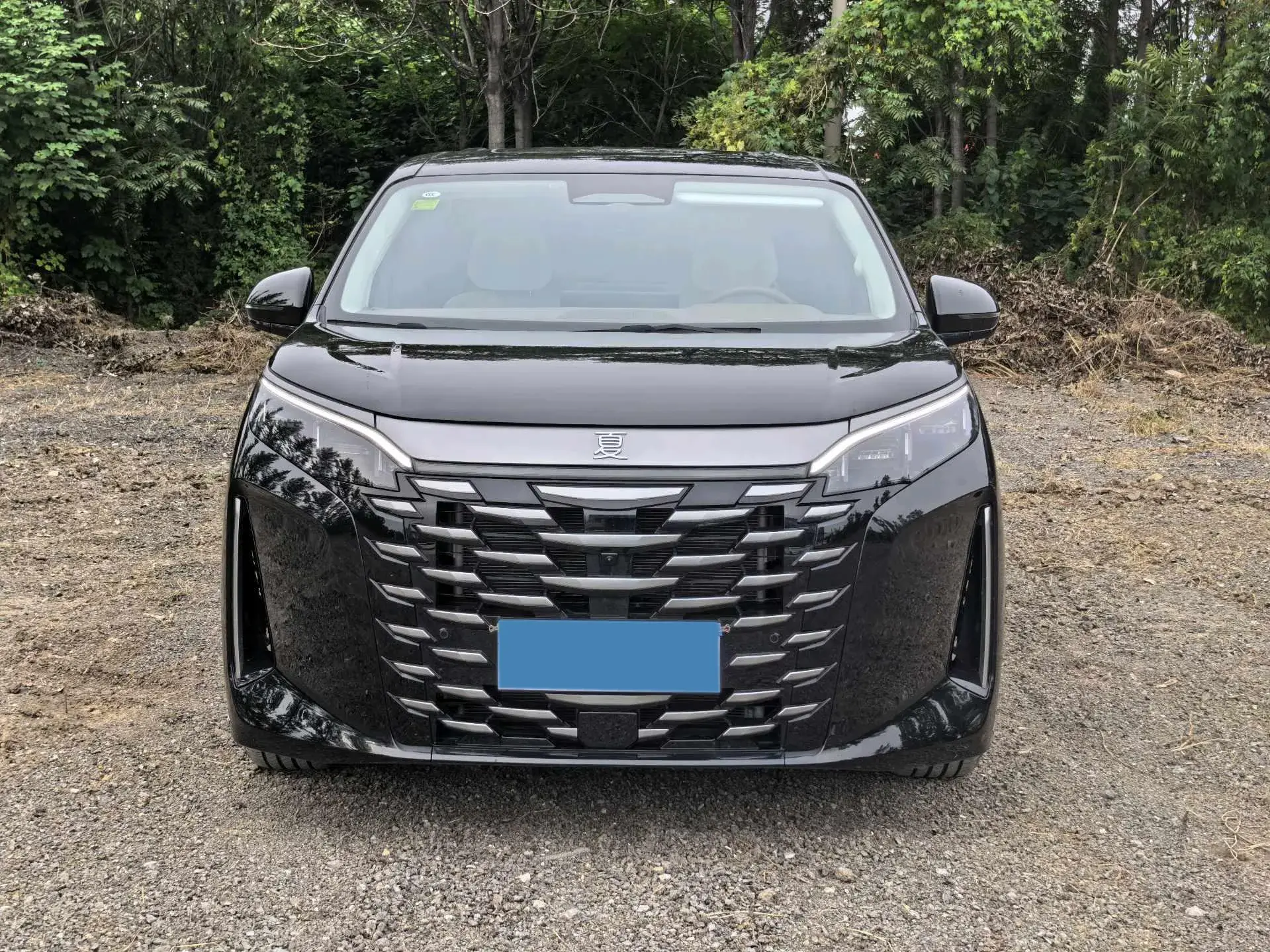 2025 BYD XIA thumbnail 2