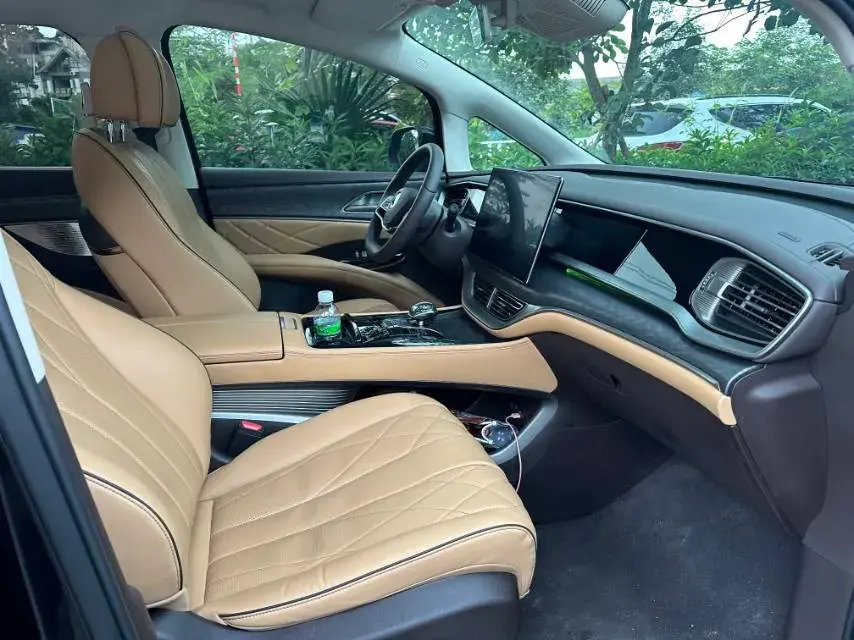 2024 DENZA D9 thumbnail 4