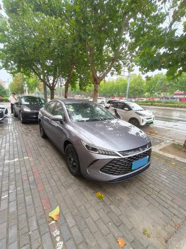 2024 BYD QIN thumbnail 2