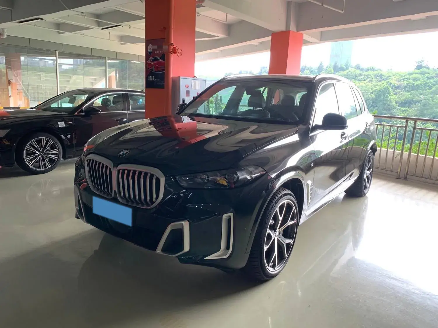 2023 BMW X5 view 1