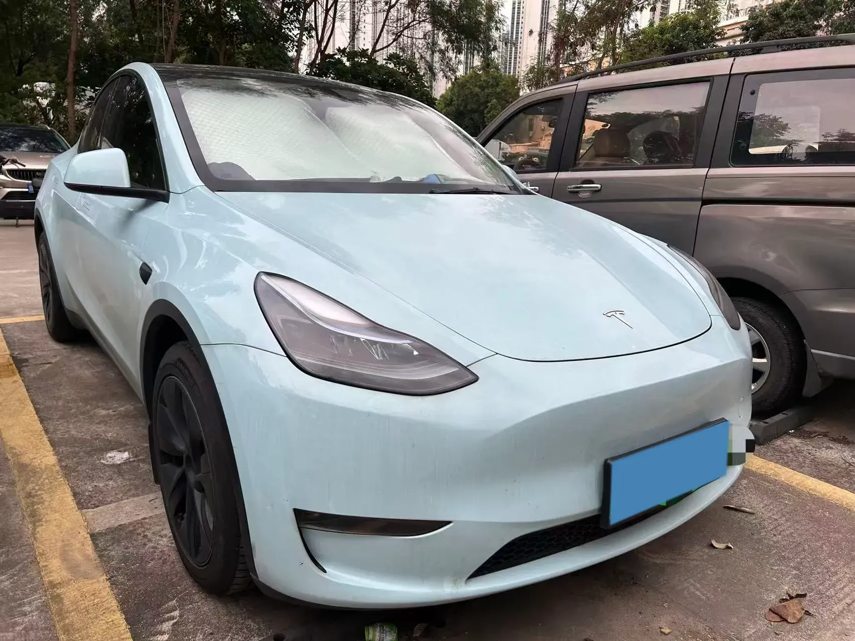 2024 TESLA MODEL thumbnail 2