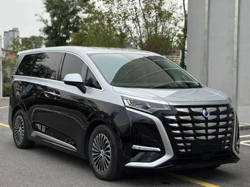 2024 DENZA D9 thumbnail 4