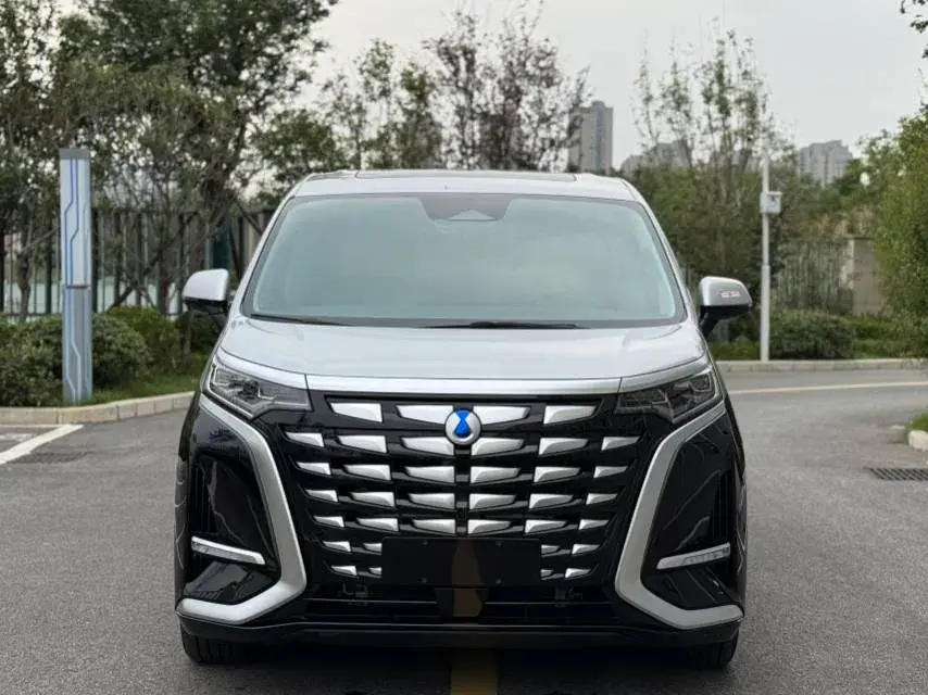 2024 DENZA D9 thumbnail 3