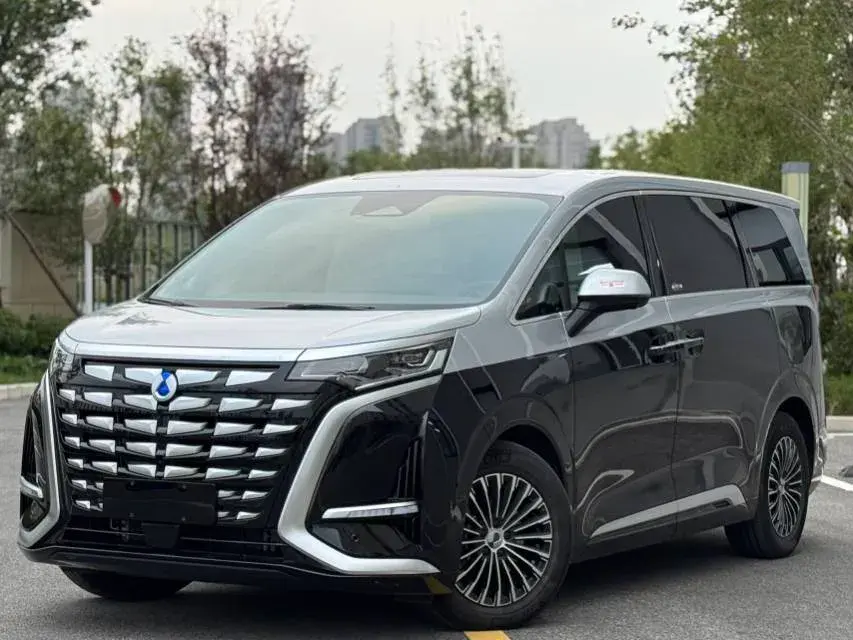 2024 DENZA D9 thumbnail 2