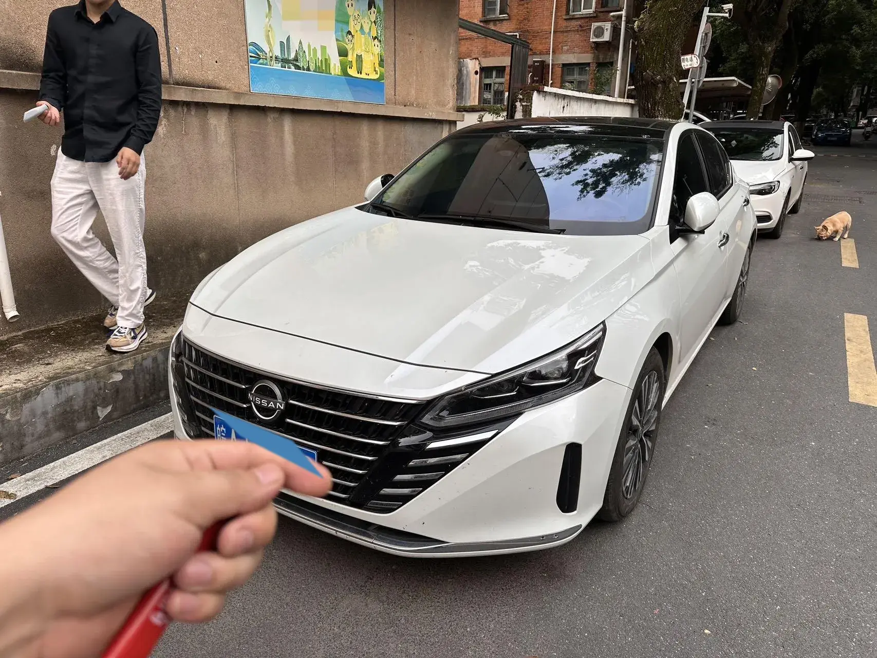 2022 NISSAN TEANA view 1