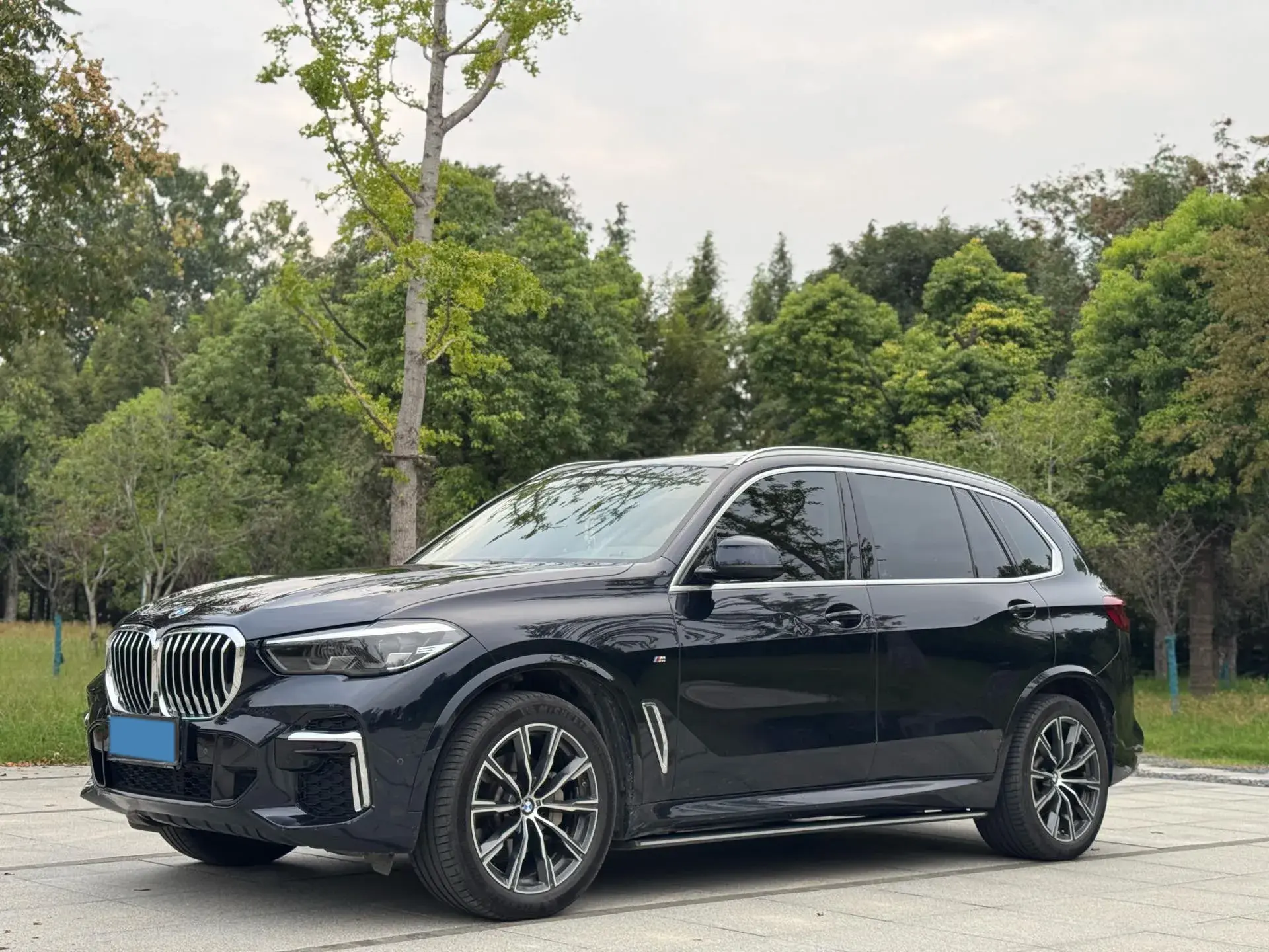 2022 BMW X5 view 1