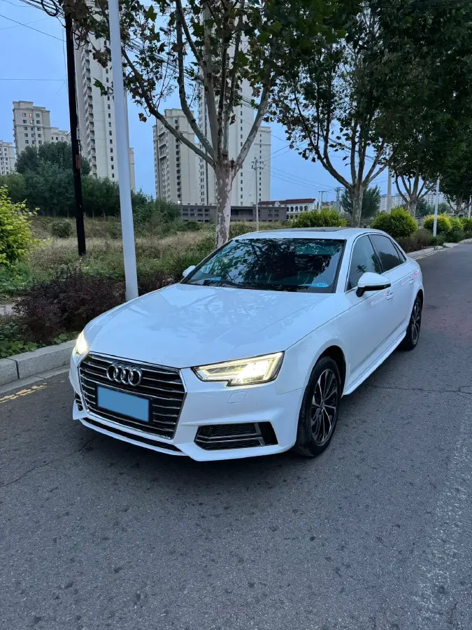 2019 Audi A4L 2.0T 190HP L4 7DCT