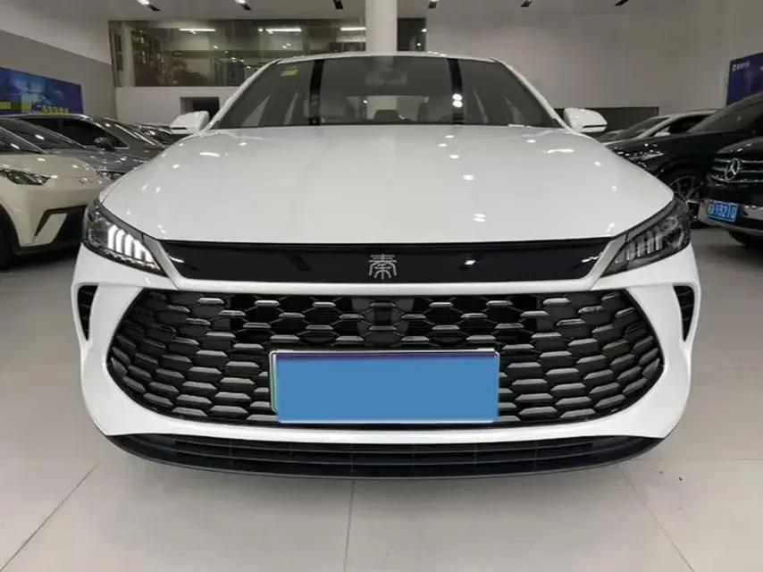 2025 BYD QIN thumbnail 2